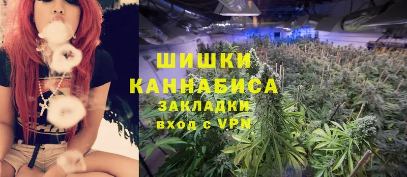 где купить наркоту  Киреевск  Каннабис White Widow 